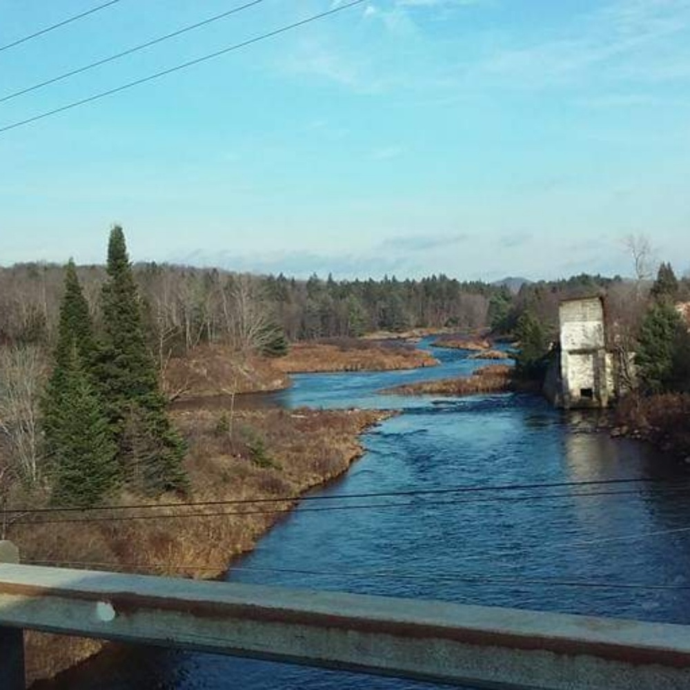 Meet your Posher, Dakota